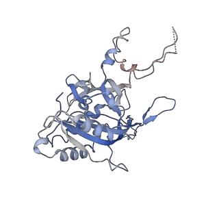 7048_6b44_B_v1-2
Cryo-EM structure of Type I-F CRISPR crRNA-guided Csy surveillance complex with bound target dsDNA