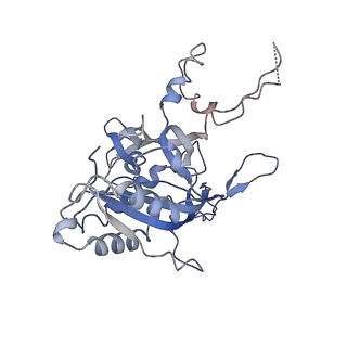 7048_6b44_B_v1-3
Cryo-EM structure of Type I-F CRISPR crRNA-guided Csy surveillance complex with bound target dsDNA