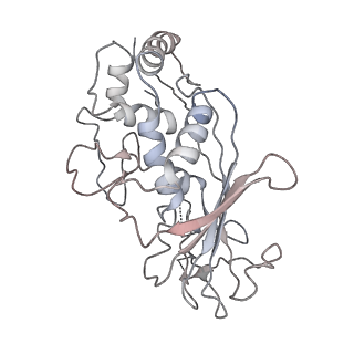 7048_6b44_C_v1-3
Cryo-EM structure of Type I-F CRISPR crRNA-guided Csy surveillance complex with bound target dsDNA