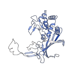 7048_6b44_D_v1-3
Cryo-EM structure of Type I-F CRISPR crRNA-guided Csy surveillance complex with bound target dsDNA