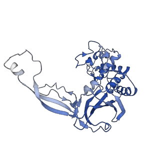 7048_6b44_E_v1-2
Cryo-EM structure of Type I-F CRISPR crRNA-guided Csy surveillance complex with bound target dsDNA
