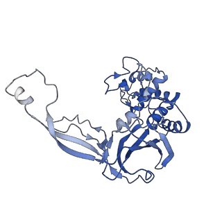 7048_6b44_E_v1-3
Cryo-EM structure of Type I-F CRISPR crRNA-guided Csy surveillance complex with bound target dsDNA