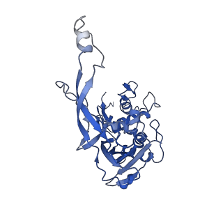 7048_6b44_F_v1-2
Cryo-EM structure of Type I-F CRISPR crRNA-guided Csy surveillance complex with bound target dsDNA