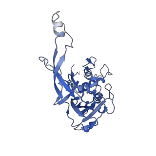 7048_6b44_F_v1-3
Cryo-EM structure of Type I-F CRISPR crRNA-guided Csy surveillance complex with bound target dsDNA