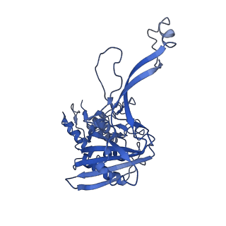 7048_6b44_G_v1-2
Cryo-EM structure of Type I-F CRISPR crRNA-guided Csy surveillance complex with bound target dsDNA