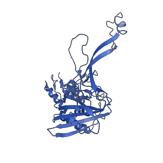 7048_6b44_G_v1-3
Cryo-EM structure of Type I-F CRISPR crRNA-guided Csy surveillance complex with bound target dsDNA