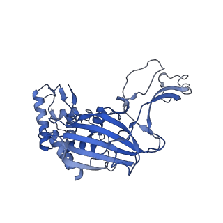 7048_6b44_H_v1-2
Cryo-EM structure of Type I-F CRISPR crRNA-guided Csy surveillance complex with bound target dsDNA