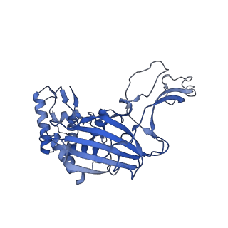 7048_6b44_H_v1-3
Cryo-EM structure of Type I-F CRISPR crRNA-guided Csy surveillance complex with bound target dsDNA