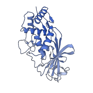 7050_6b46_C_v1-1
Cryo-EM structure of Type I-F CRISPR crRNA-guided Csy surveillance complex with bound anti-CRISPR protein AcrF1