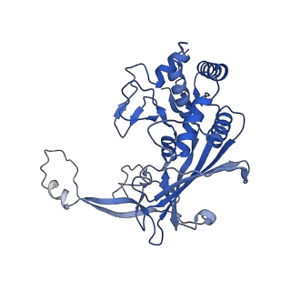 7050_6b46_D_v1-0
Cryo-EM structure of Type I-F CRISPR crRNA-guided Csy surveillance complex with bound anti-CRISPR protein AcrF1
