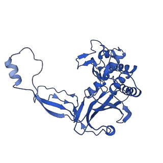 7050_6b46_E_v1-0
Cryo-EM structure of Type I-F CRISPR crRNA-guided Csy surveillance complex with bound anti-CRISPR protein AcrF1