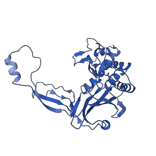 7050_6b46_E_v1-1
Cryo-EM structure of Type I-F CRISPR crRNA-guided Csy surveillance complex with bound anti-CRISPR protein AcrF1