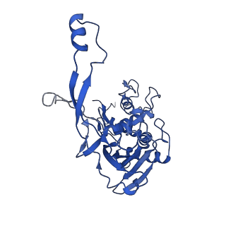 7050_6b46_F_v1-0
Cryo-EM structure of Type I-F CRISPR crRNA-guided Csy surveillance complex with bound anti-CRISPR protein AcrF1
