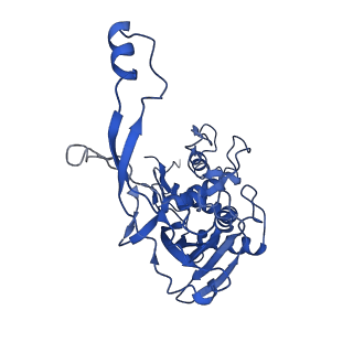 7050_6b46_F_v1-1
Cryo-EM structure of Type I-F CRISPR crRNA-guided Csy surveillance complex with bound anti-CRISPR protein AcrF1