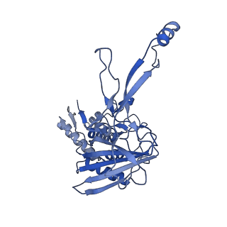 7050_6b46_G_v1-0
Cryo-EM structure of Type I-F CRISPR crRNA-guided Csy surveillance complex with bound anti-CRISPR protein AcrF1