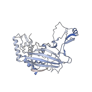 7050_6b46_H_v1-0
Cryo-EM structure of Type I-F CRISPR crRNA-guided Csy surveillance complex with bound anti-CRISPR protein AcrF1