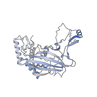 7050_6b46_H_v1-1
Cryo-EM structure of Type I-F CRISPR crRNA-guided Csy surveillance complex with bound anti-CRISPR protein AcrF1