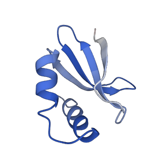 7050_6b46_I_v1-0
Cryo-EM structure of Type I-F CRISPR crRNA-guided Csy surveillance complex with bound anti-CRISPR protein AcrF1