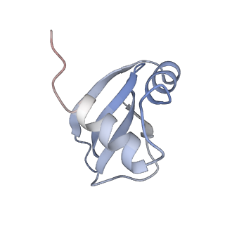 7050_6b46_J_v1-1
Cryo-EM structure of Type I-F CRISPR crRNA-guided Csy surveillance complex with bound anti-CRISPR protein AcrF1