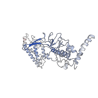 7051_6b47_A_v1-1
Cryo-EM structure of Type I-F CRISPR crRNA-guided Csy surveillance complex with bound anti-CRISPR protein AcrF2