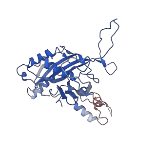 7051_6b47_B_v1-0
Cryo-EM structure of Type I-F CRISPR crRNA-guided Csy surveillance complex with bound anti-CRISPR protein AcrF2