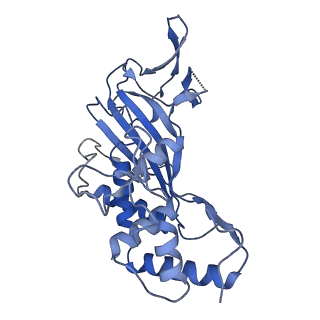 7051_6b47_C_v1-0
Cryo-EM structure of Type I-F CRISPR crRNA-guided Csy surveillance complex with bound anti-CRISPR protein AcrF2