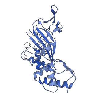 7051_6b47_C_v1-1
Cryo-EM structure of Type I-F CRISPR crRNA-guided Csy surveillance complex with bound anti-CRISPR protein AcrF2