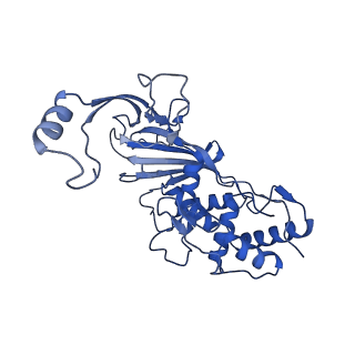 7051_6b47_D_v1-0
Cryo-EM structure of Type I-F CRISPR crRNA-guided Csy surveillance complex with bound anti-CRISPR protein AcrF2