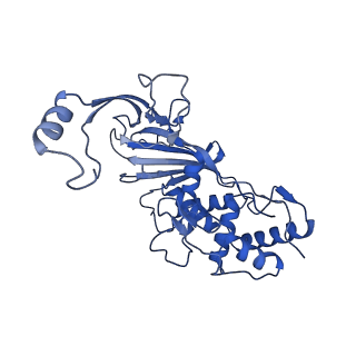 7051_6b47_D_v1-1
Cryo-EM structure of Type I-F CRISPR crRNA-guided Csy surveillance complex with bound anti-CRISPR protein AcrF2