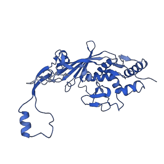 7051_6b47_E_v1-1
Cryo-EM structure of Type I-F CRISPR crRNA-guided Csy surveillance complex with bound anti-CRISPR protein AcrF2