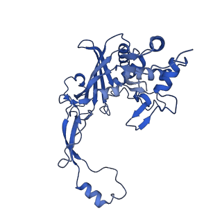 7051_6b47_F_v1-0
Cryo-EM structure of Type I-F CRISPR crRNA-guided Csy surveillance complex with bound anti-CRISPR protein AcrF2