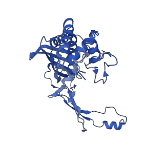 7051_6b47_G_v1-1
Cryo-EM structure of Type I-F CRISPR crRNA-guided Csy surveillance complex with bound anti-CRISPR protein AcrF2