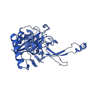 7051_6b47_H_v1-0
Cryo-EM structure of Type I-F CRISPR crRNA-guided Csy surveillance complex with bound anti-CRISPR protein AcrF2