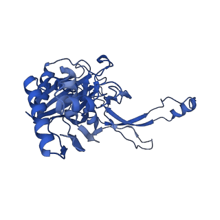 7051_6b47_H_v1-1
Cryo-EM structure of Type I-F CRISPR crRNA-guided Csy surveillance complex with bound anti-CRISPR protein AcrF2