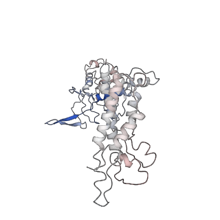7052_6b48_A_v1-0
Cryo-EM structure of Type I-F CRISPR crRNA-guided Csy surveillance complex with bound anti-CRISPR protein AcrF10