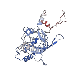 7052_6b48_B_v1-0
Cryo-EM structure of Type I-F CRISPR crRNA-guided Csy surveillance complex with bound anti-CRISPR protein AcrF10