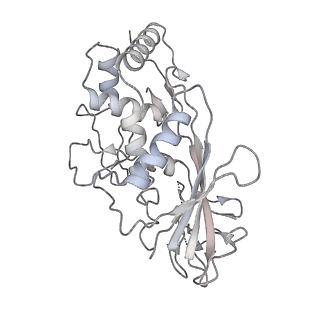 7052_6b48_C_v1-0
Cryo-EM structure of Type I-F CRISPR crRNA-guided Csy surveillance complex with bound anti-CRISPR protein AcrF10