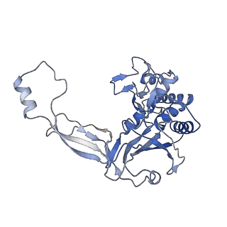 7052_6b48_E_v1-0
Cryo-EM structure of Type I-F CRISPR crRNA-guided Csy surveillance complex with bound anti-CRISPR protein AcrF10
