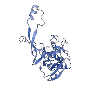 7052_6b48_F_v1-0
Cryo-EM structure of Type I-F CRISPR crRNA-guided Csy surveillance complex with bound anti-CRISPR protein AcrF10