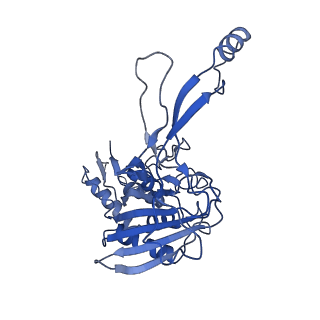 7052_6b48_G_v1-0
Cryo-EM structure of Type I-F CRISPR crRNA-guided Csy surveillance complex with bound anti-CRISPR protein AcrF10