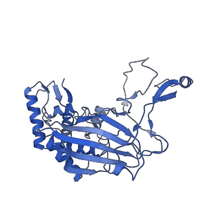 7052_6b48_H_v1-0
Cryo-EM structure of Type I-F CRISPR crRNA-guided Csy surveillance complex with bound anti-CRISPR protein AcrF10
