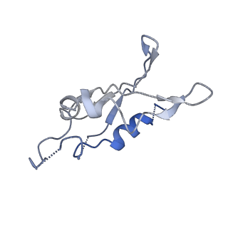 7052_6b48_K_v1-0
Cryo-EM structure of Type I-F CRISPR crRNA-guided Csy surveillance complex with bound anti-CRISPR protein AcrF10