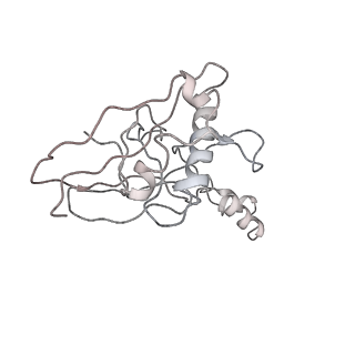 7052_6b48_L_v1-0
Cryo-EM structure of Type I-F CRISPR crRNA-guided Csy surveillance complex with bound anti-CRISPR protein AcrF10