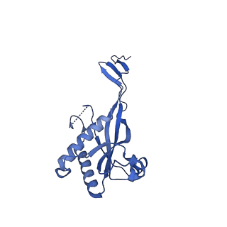 12034_7b5i_BA_v1-2
Cryo-EM structure of the contractile injection system cap complex from Anabaena PCC7120