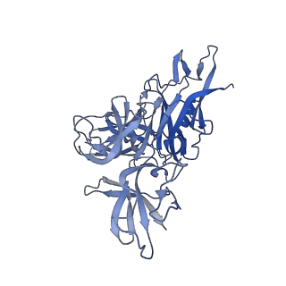 12034_7b5i_BB_v1-2
Cryo-EM structure of the contractile injection system cap complex from Anabaena PCC7120