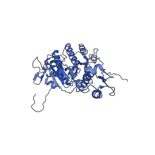 12034_7b5i_BC_v1-2
Cryo-EM structure of the contractile injection system cap complex from Anabaena PCC7120