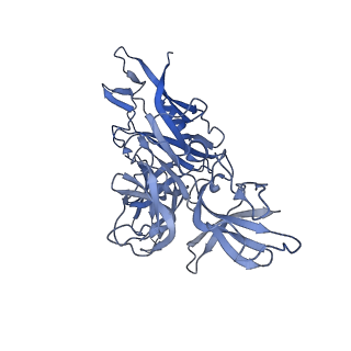 12034_7b5i_CB_v1-2
Cryo-EM structure of the contractile injection system cap complex from Anabaena PCC7120