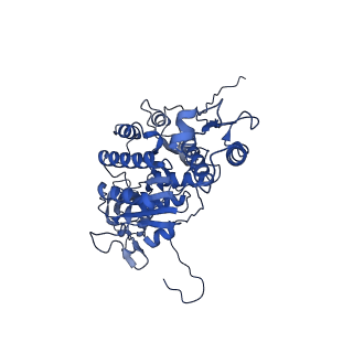 12034_7b5i_CC_v1-2
Cryo-EM structure of the contractile injection system cap complex from Anabaena PCC7120
