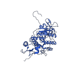 12034_7b5i_FC_v1-2
Cryo-EM structure of the contractile injection system cap complex from Anabaena PCC7120