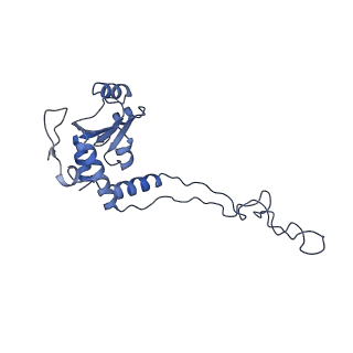 12035_7b5k_E_v1-0
E. coli 70S containing suppressor tRNA in the A-site stabilized by a Negamycin analogue and P-site tRNA-nascent chain.